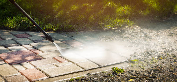 Best Solar Panel Cleaning  in Atascocita, TX